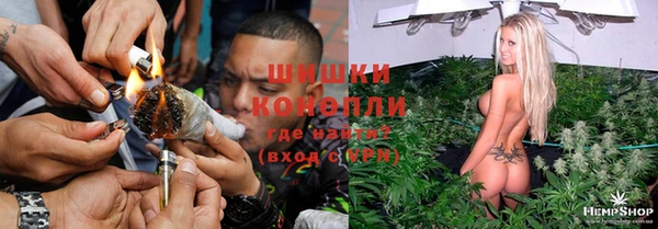 PSILOCYBIN Балахна