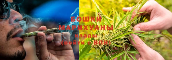 PSILOCYBIN Балахна