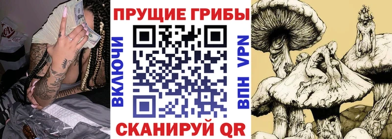 Псилоцибиновые грибы мухоморы  Шумерля 